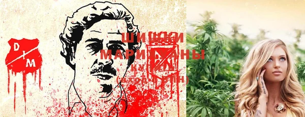 каннабис Алексеевка