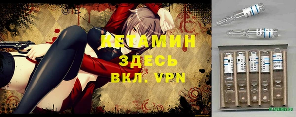 твердый Алексин