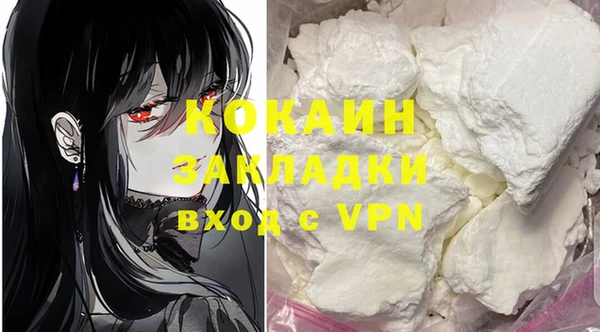 твердый Алексин
