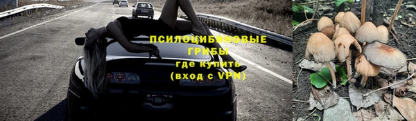 твердый Алексин