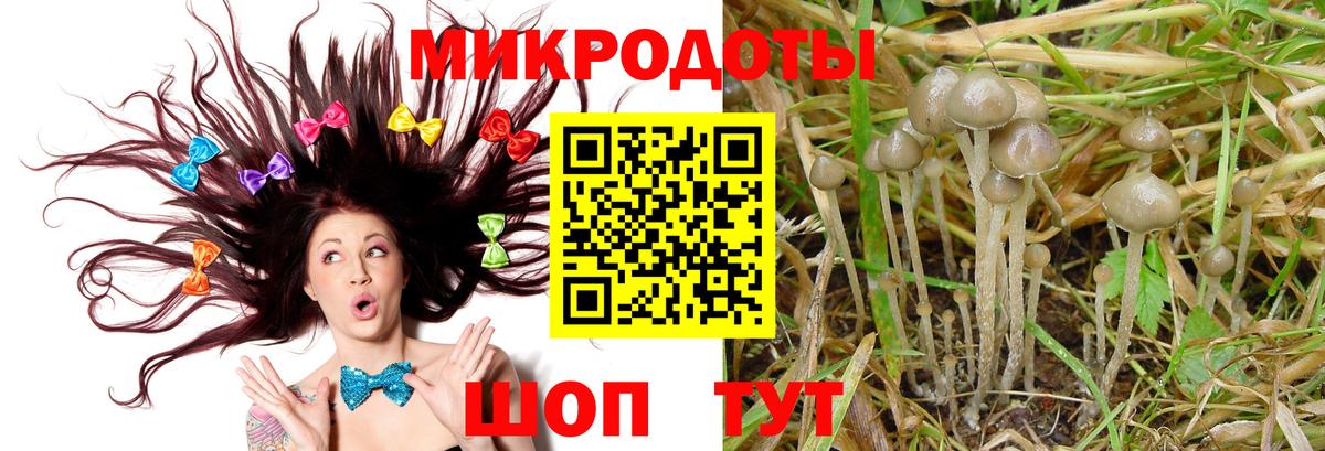 Ишим  Псилоцибиновые грибы мухоморы  Вход с VPN 